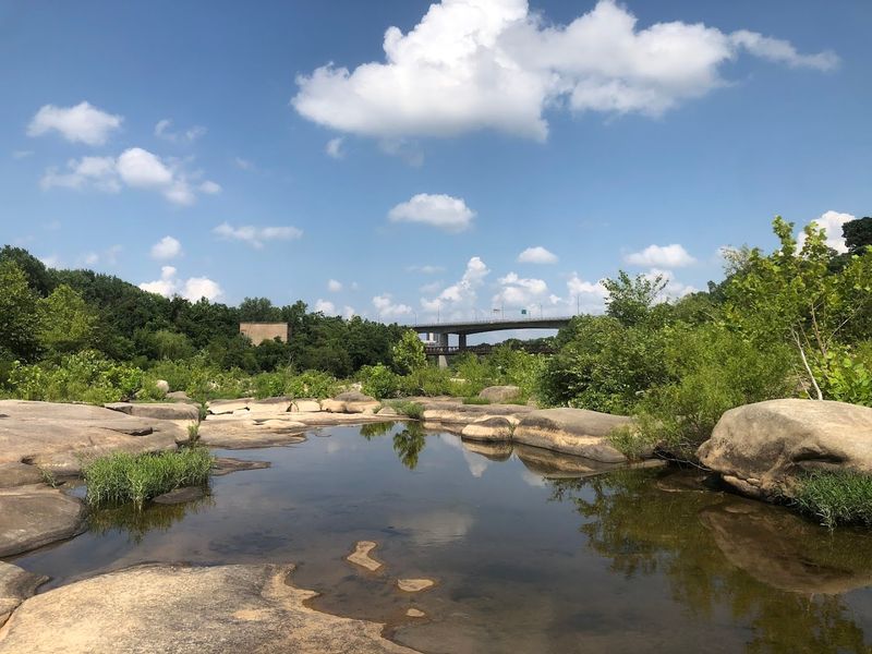 Bird Watching and Wildlife Along the Riverbanks