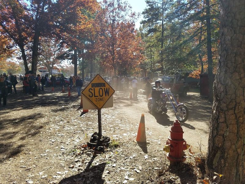 Motorcycles, Custom Vans, and the Wild Side of American Design