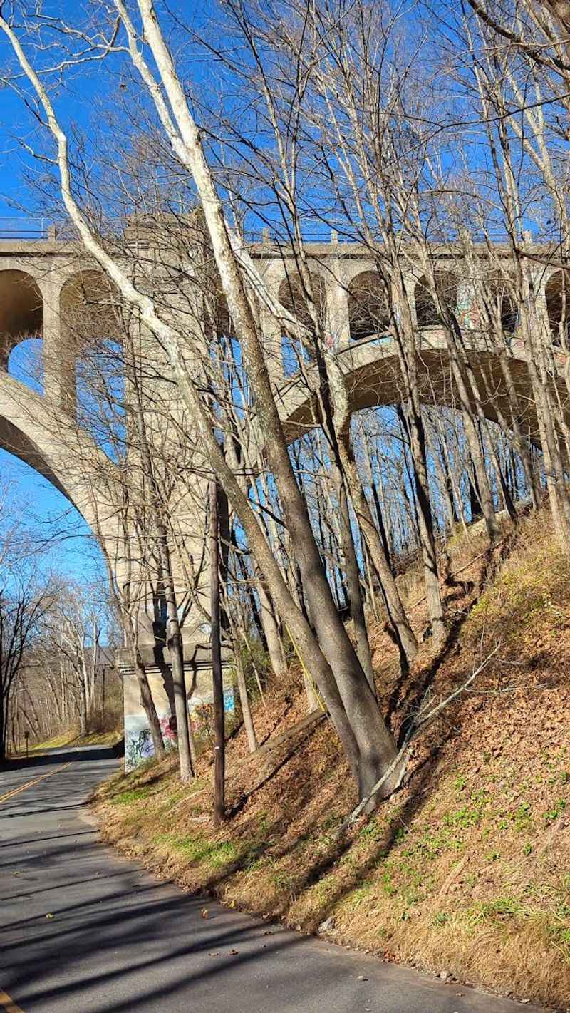 The Engineering Milestone That Changed Bridge Building