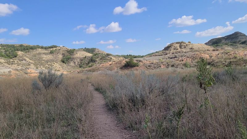 The Trail Itself: Short, Easy, and Surprisingly Powerful