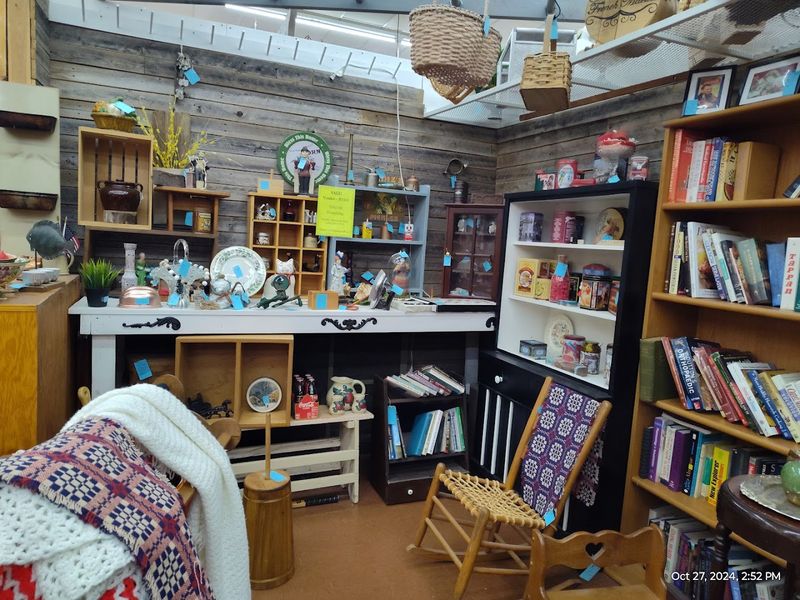 Books, Art, and Creative Finds