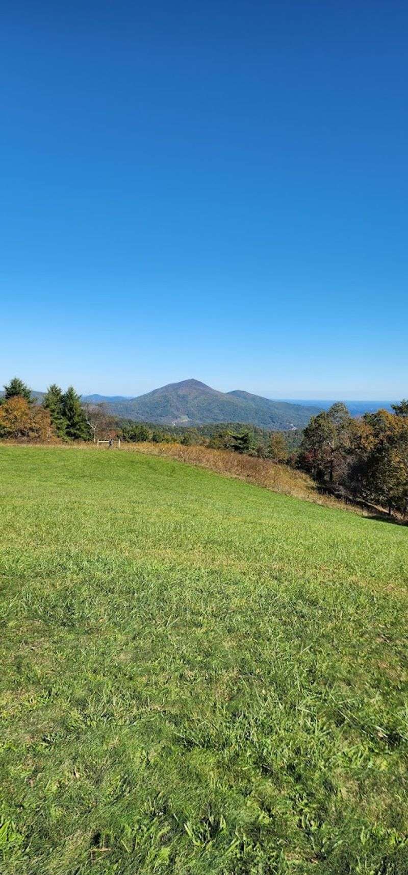 Picnic Goals: The Grassy Lawn That Invites You to Stay