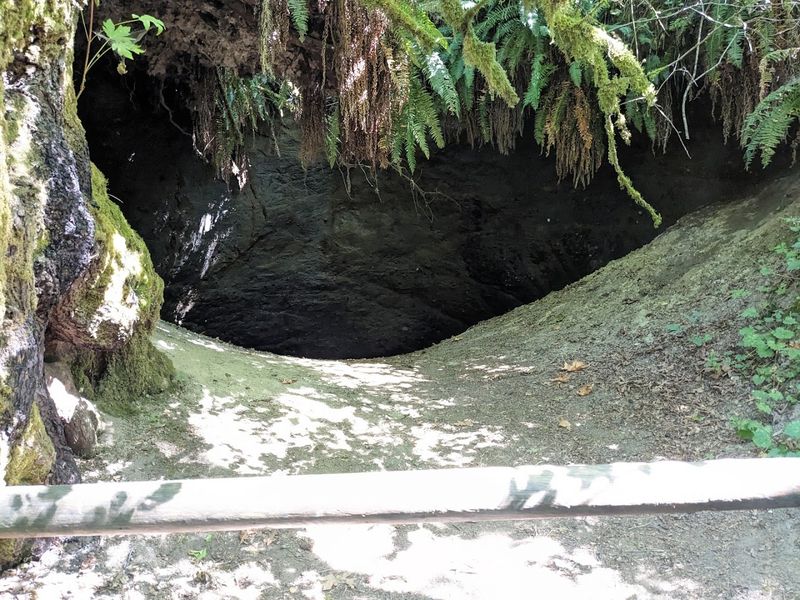 Cinder Mine Trail: A Short Walk with Big Historical Weight