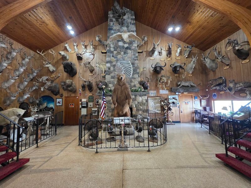 Space Farms Zoo & Museum (Beemerville)