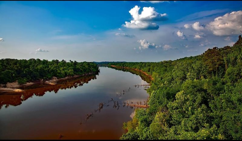 Wind Is Not Just Background Noise Here