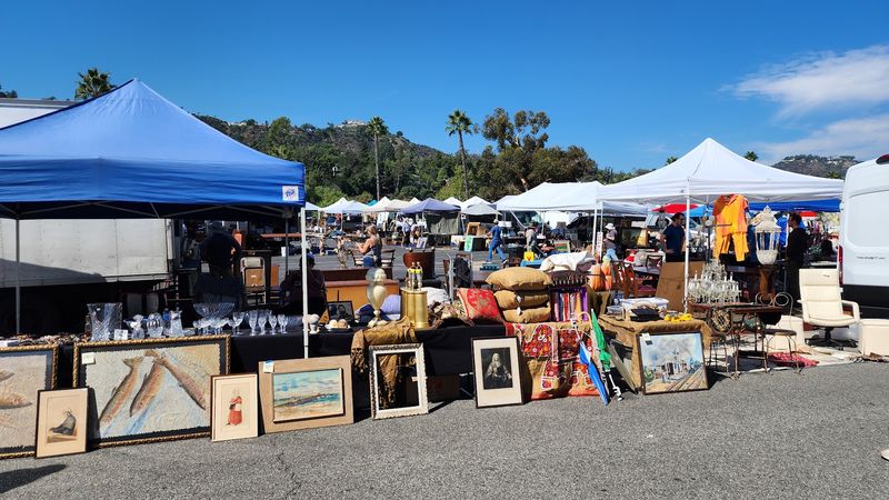 Early Birds Arrive Before The Morning Light