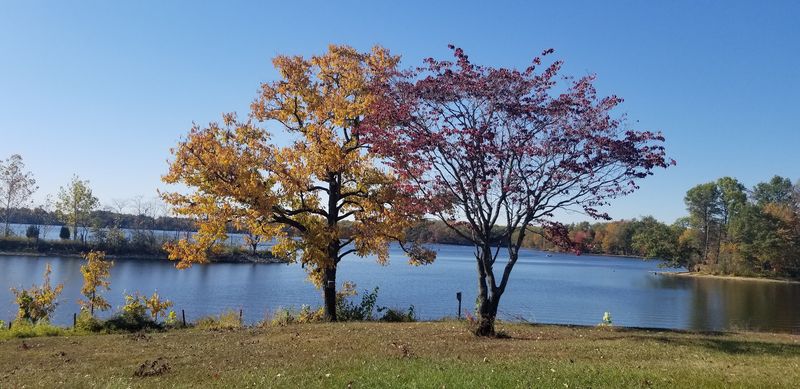 Biking the Extensive Road Network Through Open Wilderness