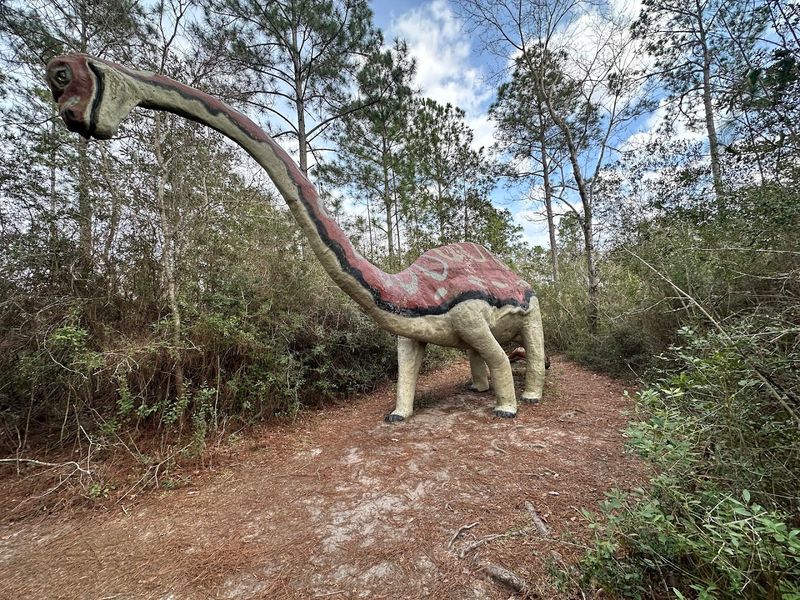 No Signs Announce What Lies Hidden Here