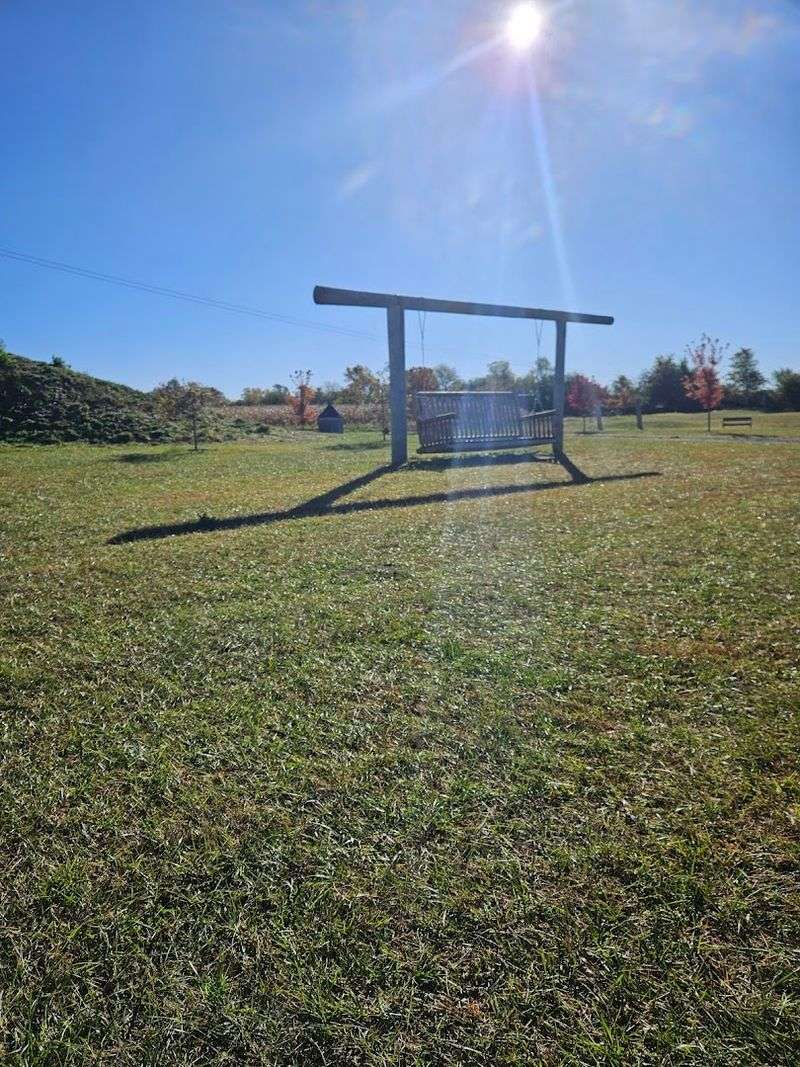 Picking Your Own Pumpkin From a 20-Acre Patch