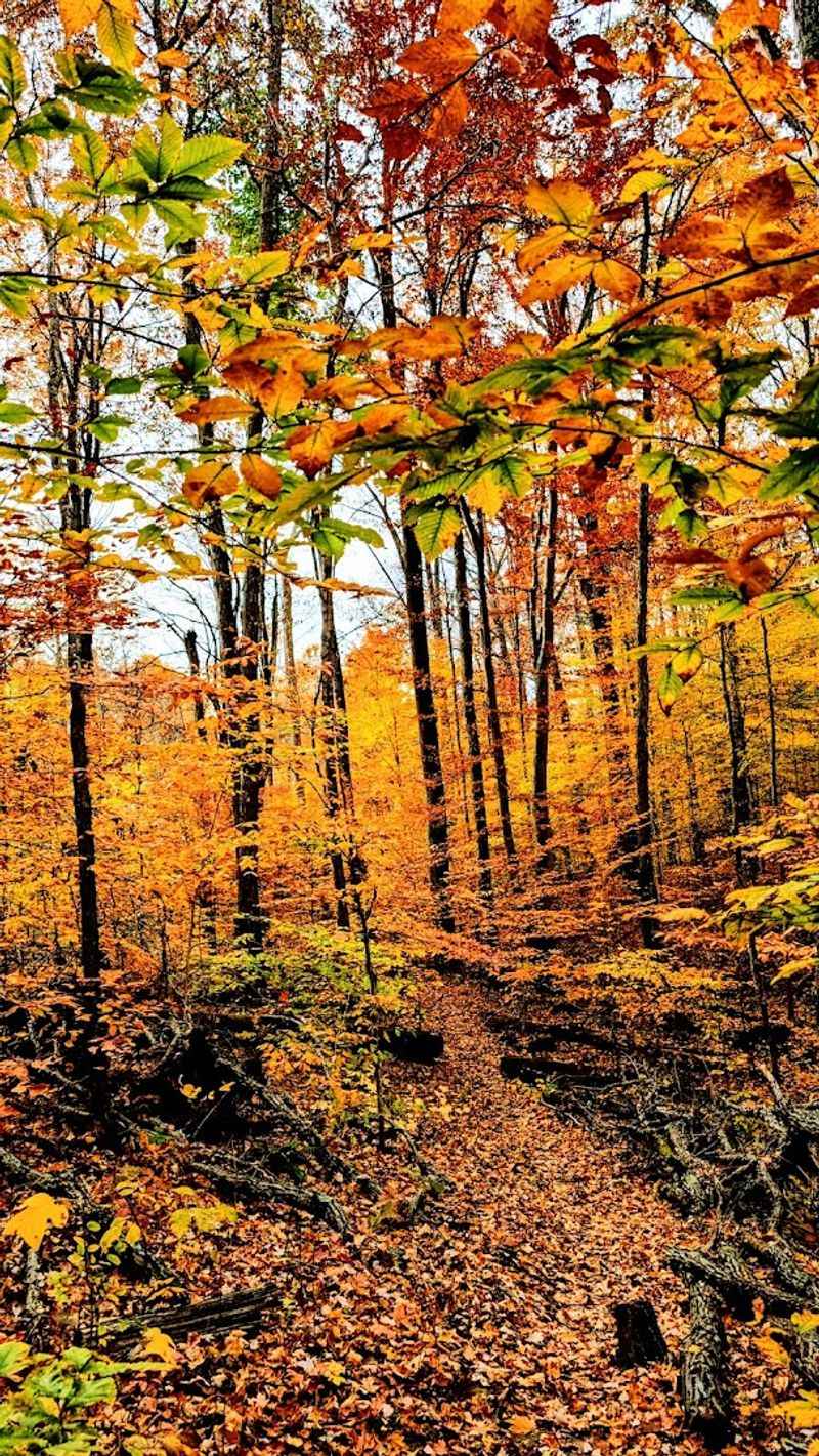 Nearby Places to Extend Your Day Trip