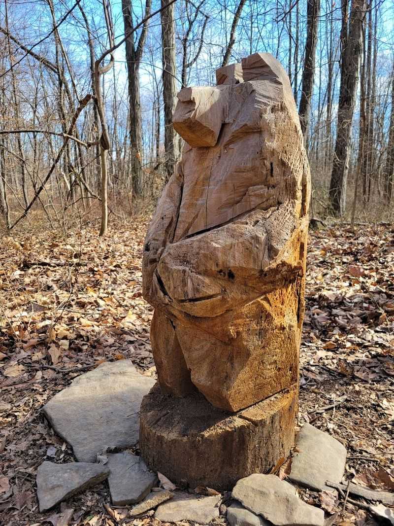 Planning Your Visit to Sourland Mountain Preserve