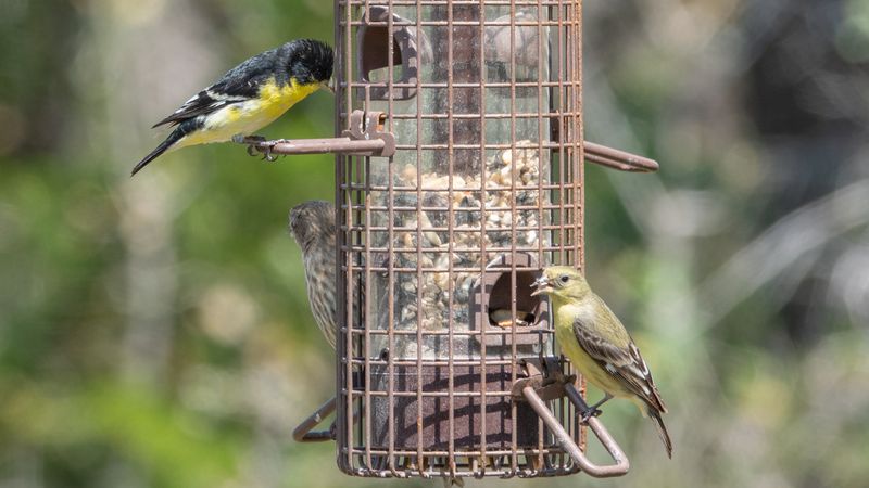 What to Bring and How to Prepare for Your Visit