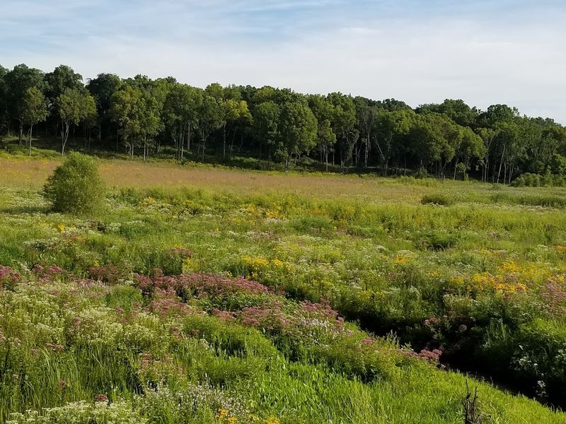 Rich Native Prairie and Fen Habitat Restoration