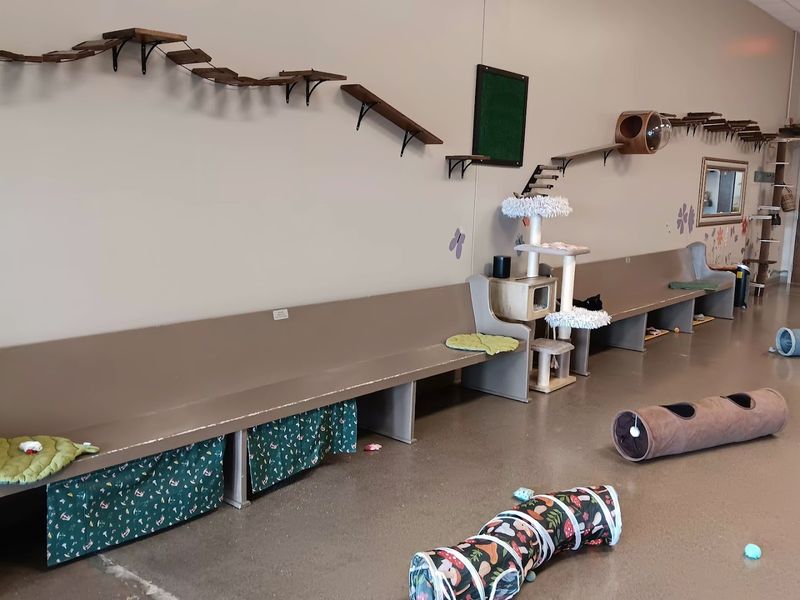 A Community Gathering Spot That Welcomes Everyone