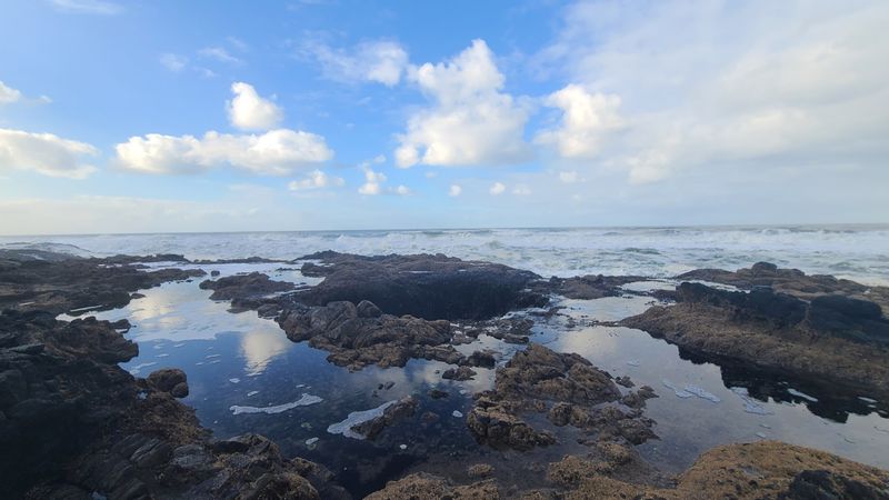 Tide Pools of Cape Perpetua: A Hidden Underwater Neighborhood