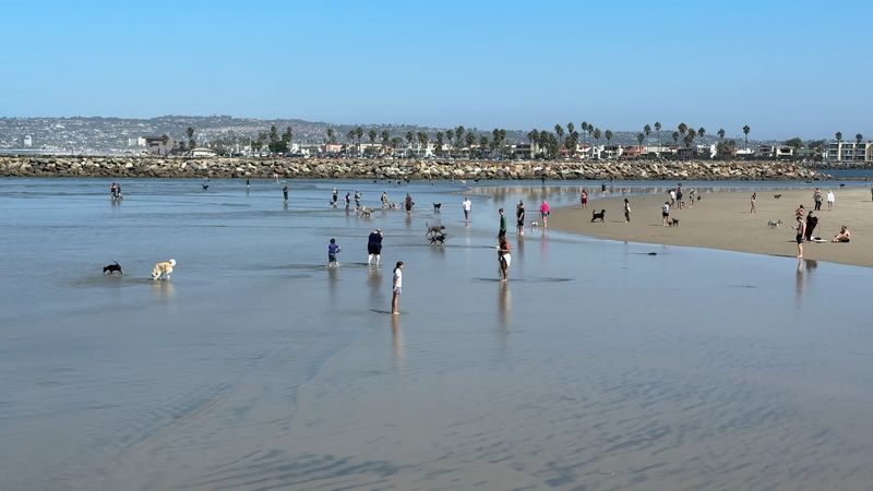 Ocean Beach Dog Beach – San Diego