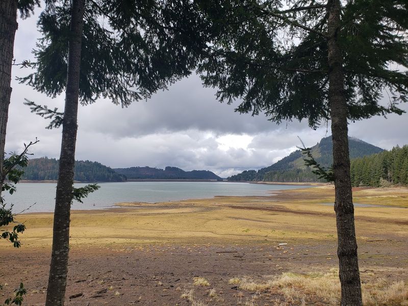 Dorena Lake: A Peaceful Destination at Trail's End
