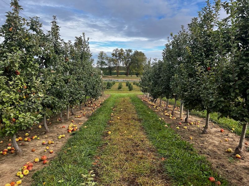 Seasonal Produce That Keeps Things Fresh