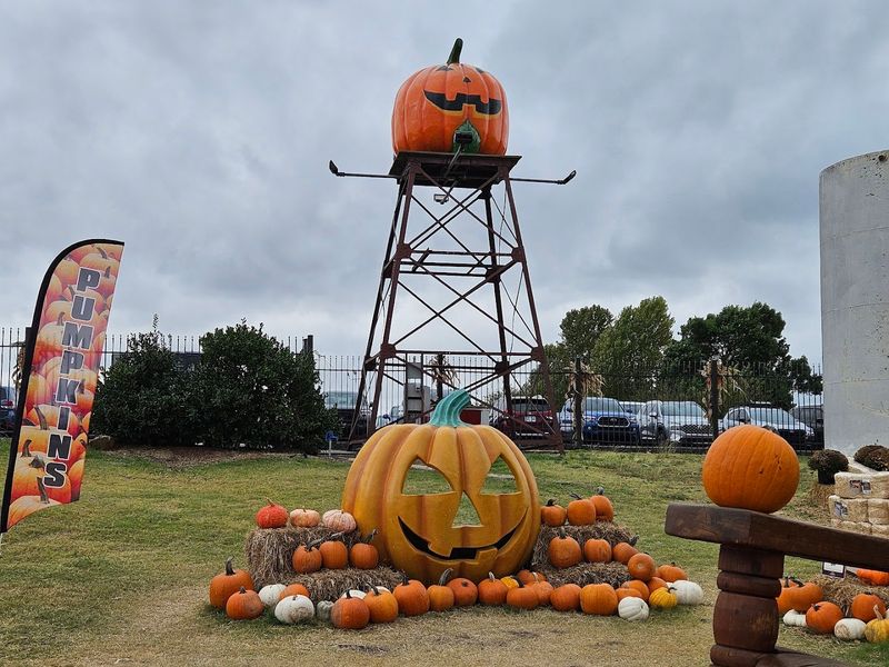 The Pumpkin Patch Defines Fall in Oklahoma