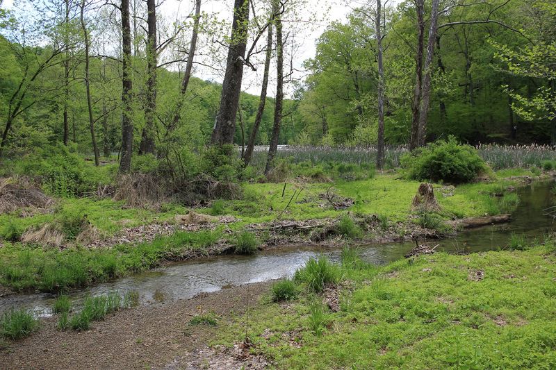 Trail 8 (Ogle Lake Loop), Brown County State Park