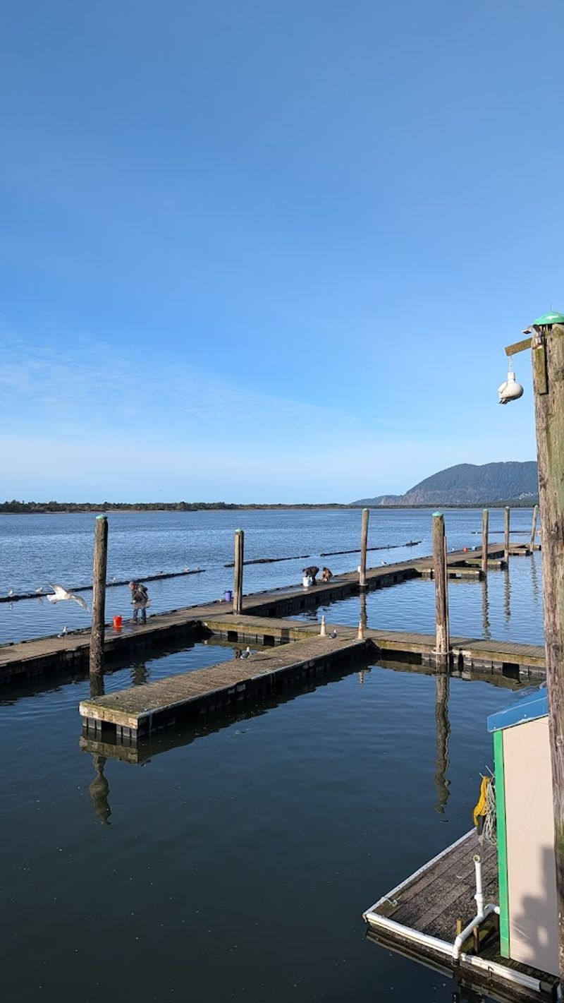 Boat Rentals That Open Up the Bay