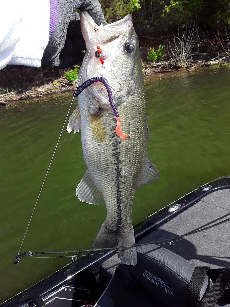 Fishing at Lake Eucha Is Genuinely Rewarding