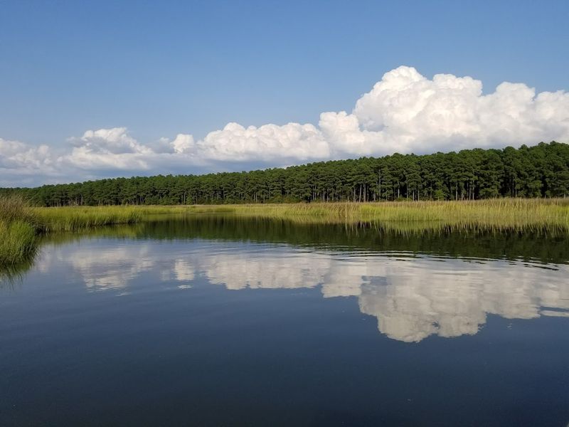 Janes Island State Park