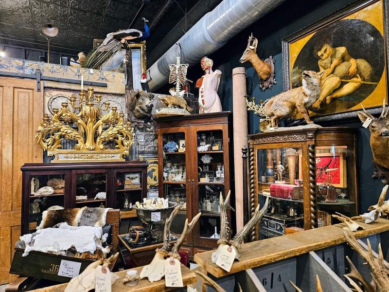 Adam and the Art of Passionate Ownership