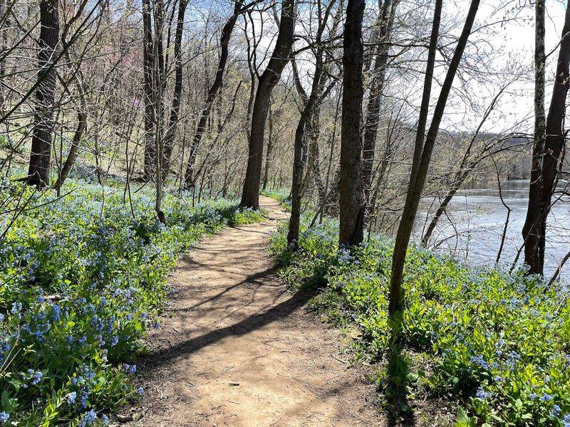 Over 25 Miles of Trails for Every Kind of Adventurer