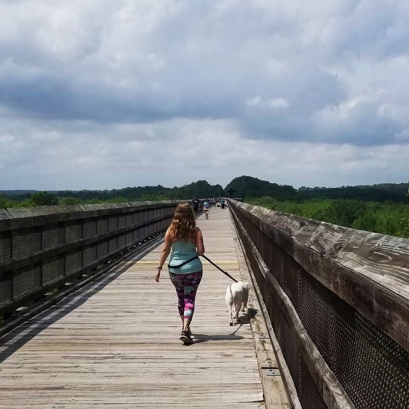 Walking and Jogging Without the Road Rage