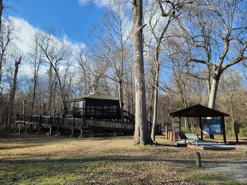Birdwatching in a True Lowland Sanctuary