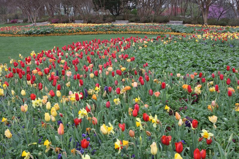 Margaret Elizabeth Jonsson Color Garden