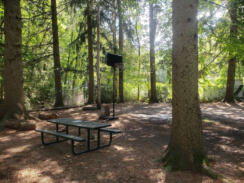 Picnic Grove Lunches With a Side of Total Quiet