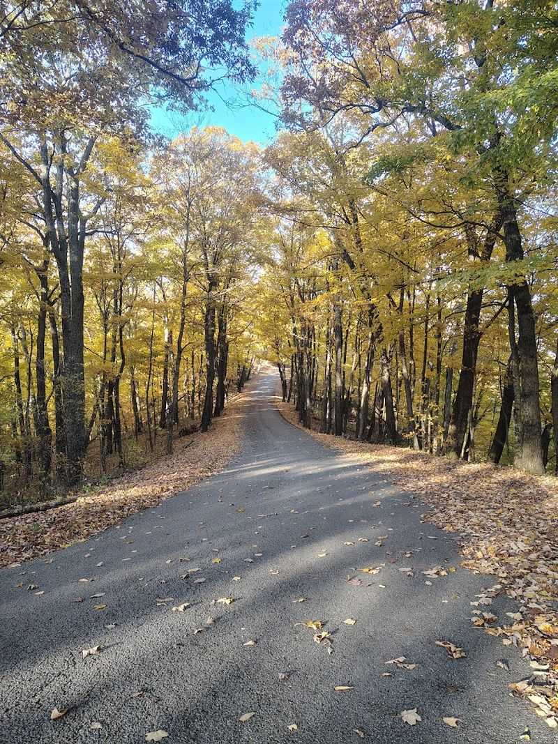 The Fire Tower Loop Road Is an Adventure All by Itself