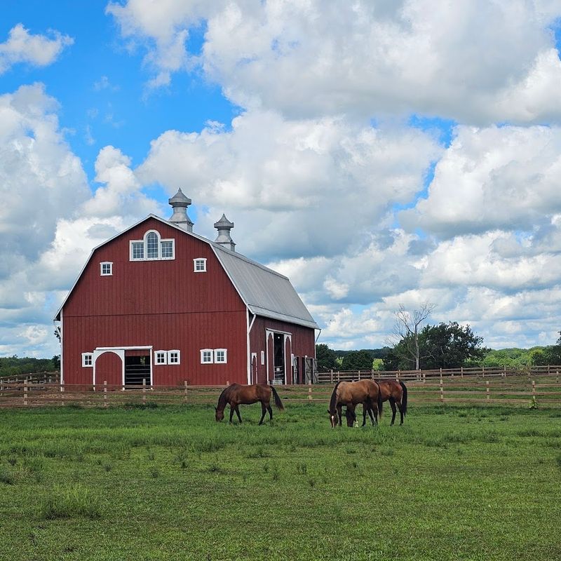 Nearby Attractions That Round Out the Visit