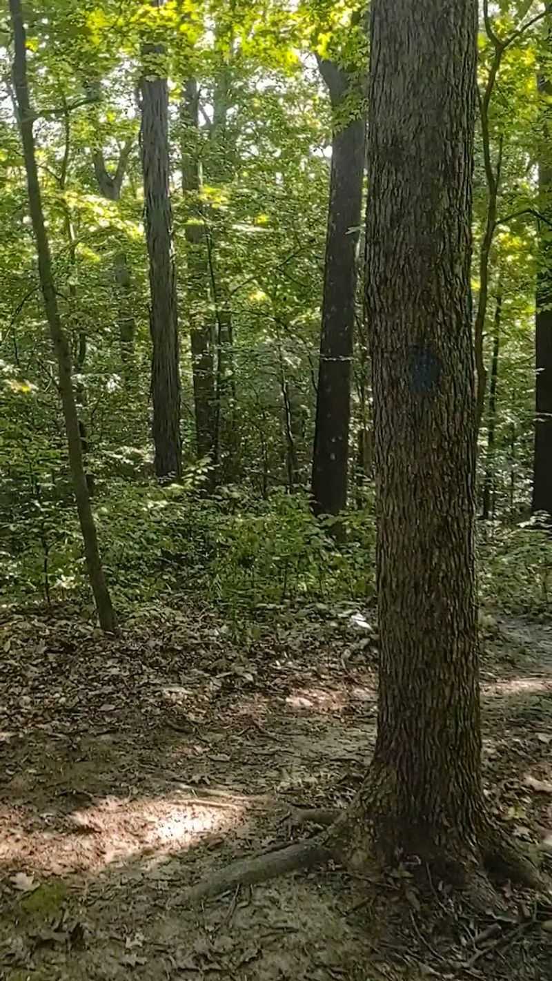 Rare Wildlife Sightings Make Every Visit Unique