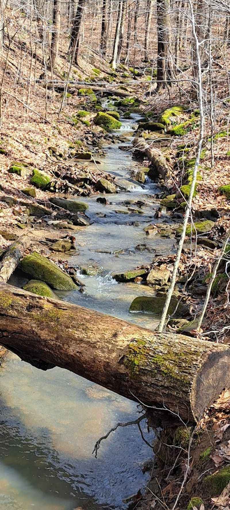 Seasonal Waterfalls and Creeks Worth Seeking Out