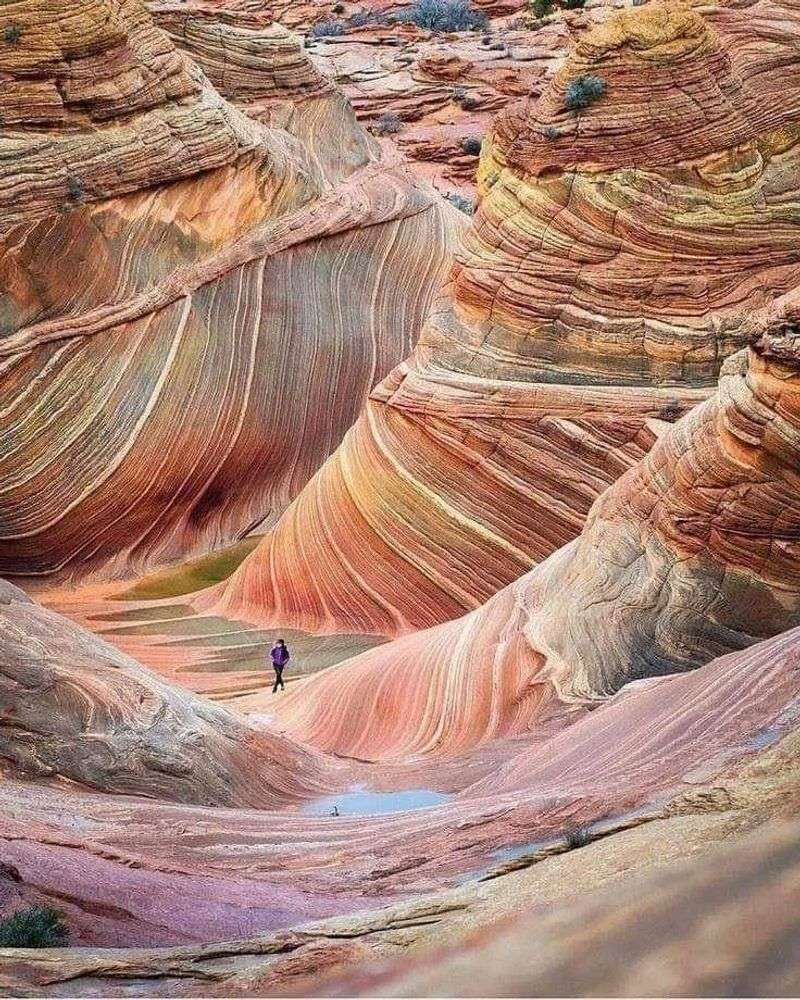 The Wave - Paria Canyon-Vermilion Cliffs Wilderness