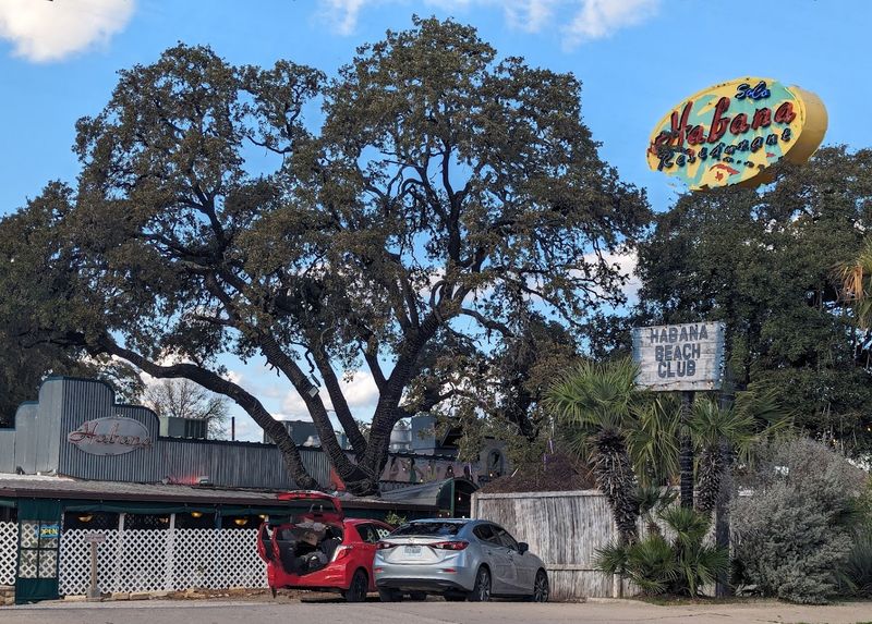 Why Habana Keeps Bringing People Back