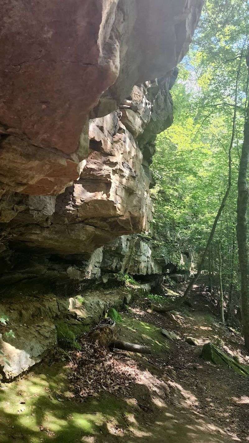 Green's Bluff Nature Preserve