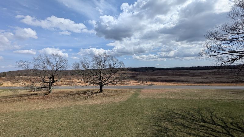 Big Meadows: Where Wildlife Comes Out to Play