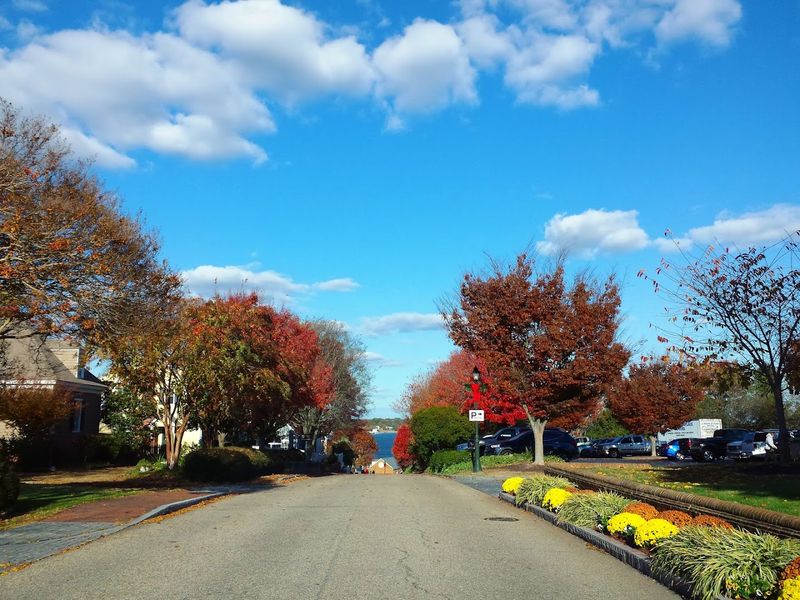 Plan Your Visit: Getting There and Making the Most of Yorktown