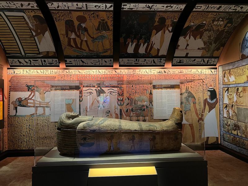 Ancient Egypt Exhibit: Mummies, Artifacts, and Mystery