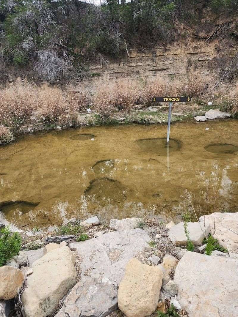 The Paluxy River: A Living Trail Through Prehistoric Texas