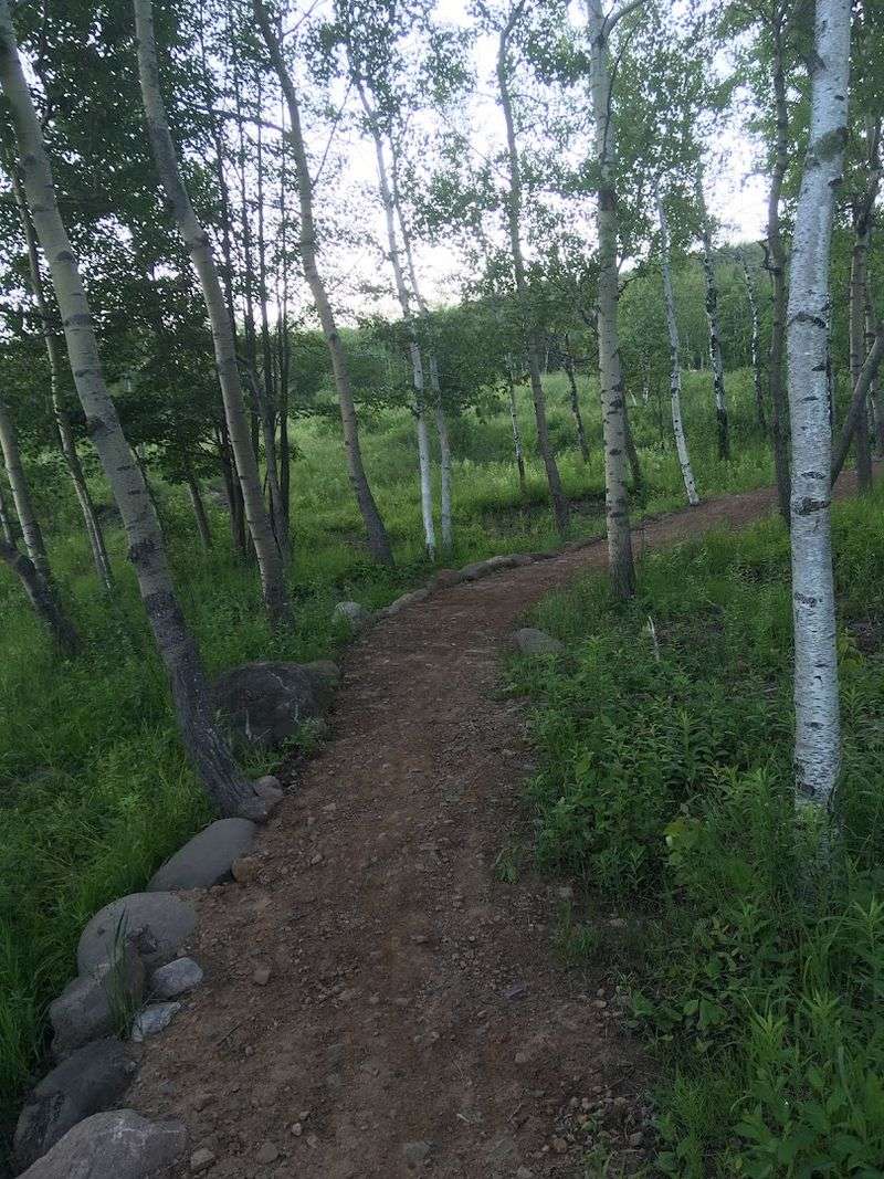 Trail Hiking Through a Landscape That Does Not Look Like Minnesota