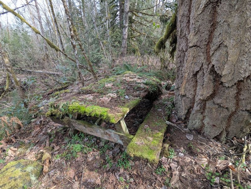 Picnicking With Views That Deliver