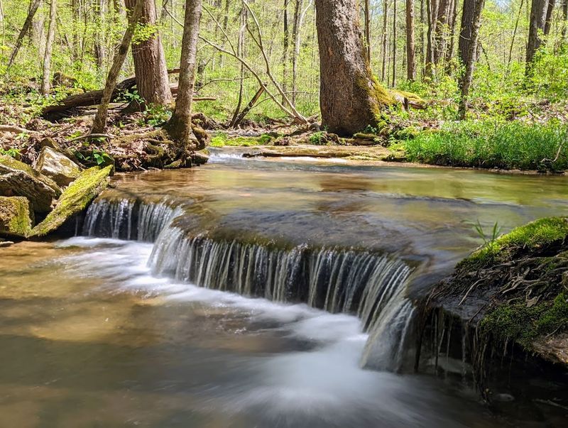 Scenic Hiking Trails That Follow a Winding Creek