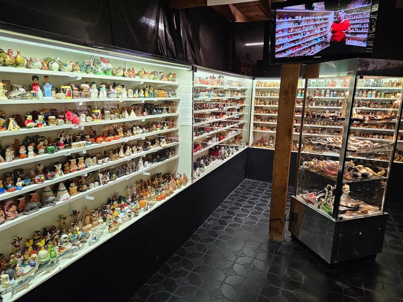 Narrow Aisles And The Hum Of Curious Visitors