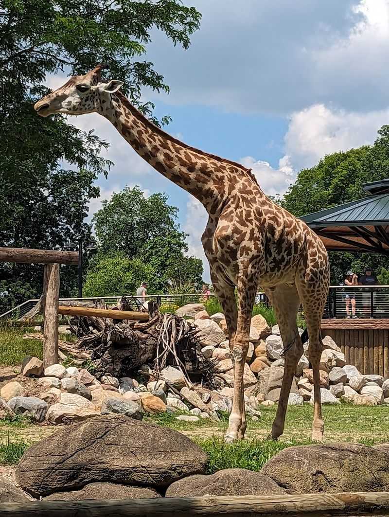 Educational Programs That Inspire Curiosity in All Ages