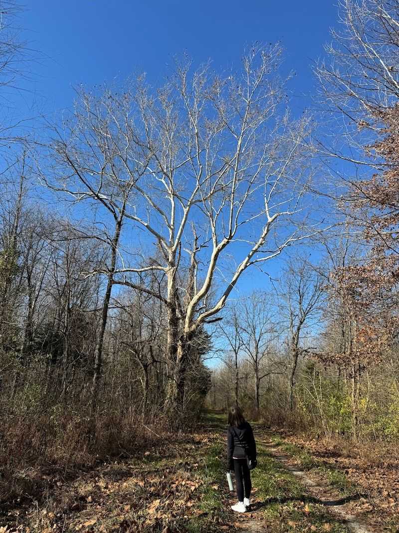 Accessible Hiking Trails For Every Comfort Level